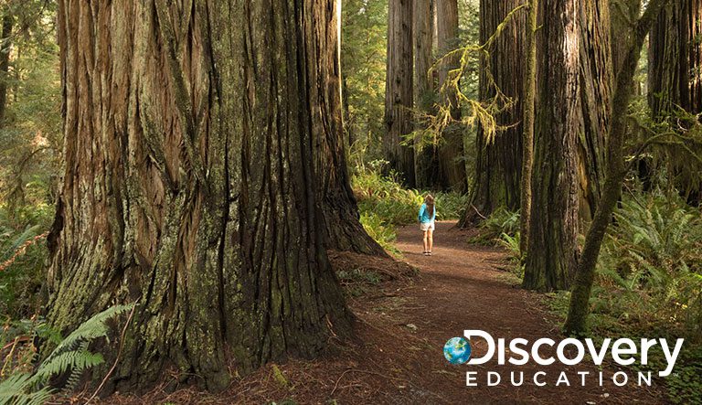 Oregon’s Reynolds School District Expands Partnership with Discovery Education to Create Immersive Science Lessons for High School Students